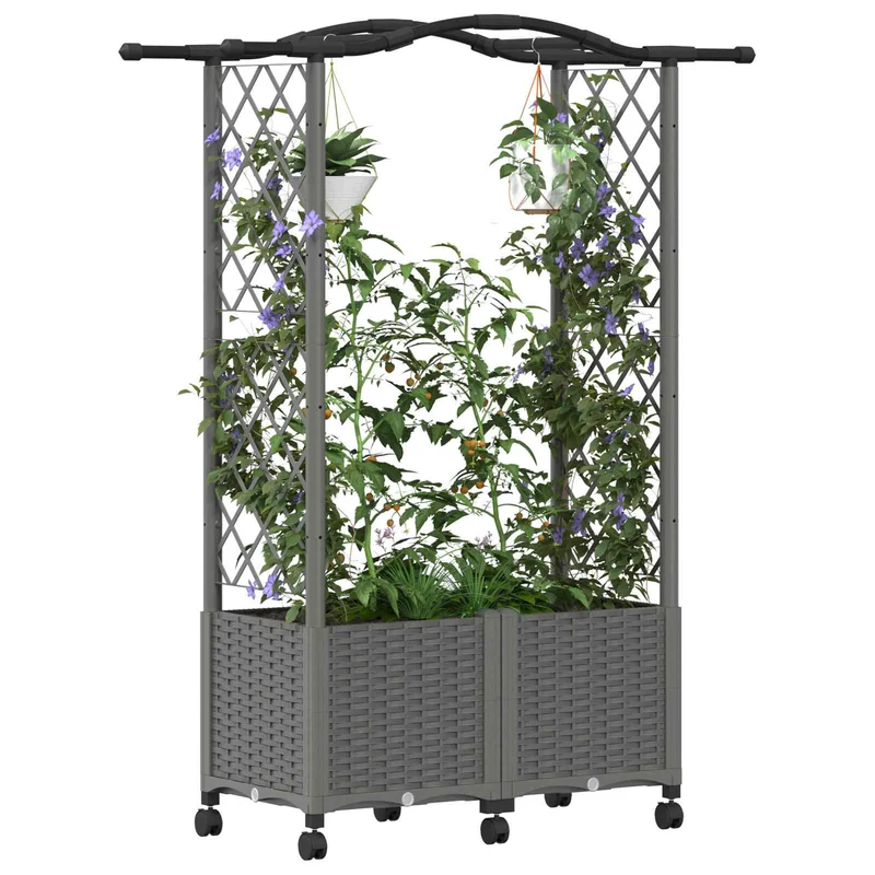 Cama Elevada Con Trellis Y Techo Gris Claro 125 X 40 X 144 Cm