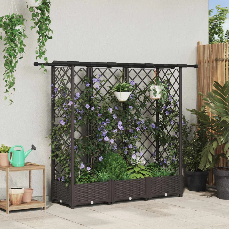 Cama Elevada Con Trellis Y Techo Marrón 164 X 40 X 121 Cm Pp