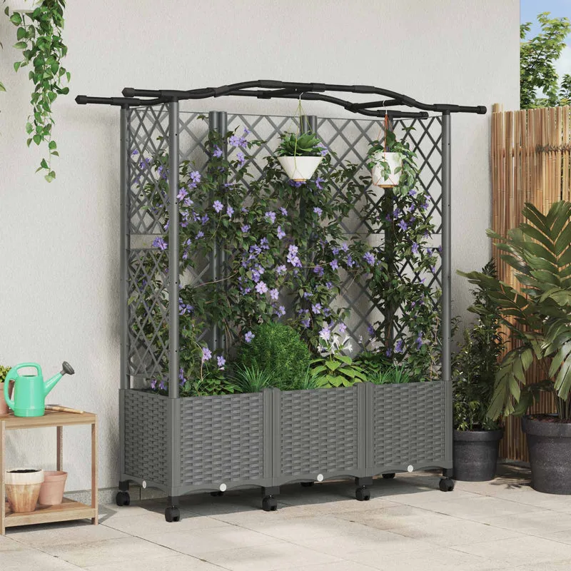 Cama Elevada Con Trellis Y Techo Gris Claro 163 X 40 X 144 Cm