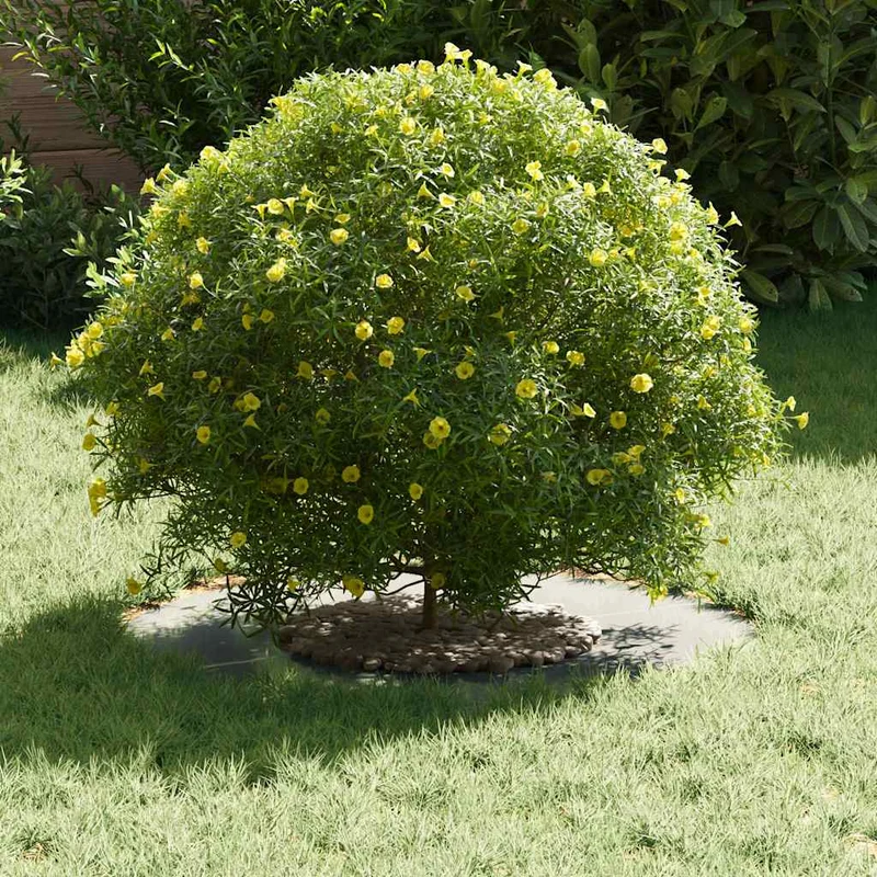 Adecuado Para Anillo De Árbol Plano Plateado Ø30 / 60 Cm