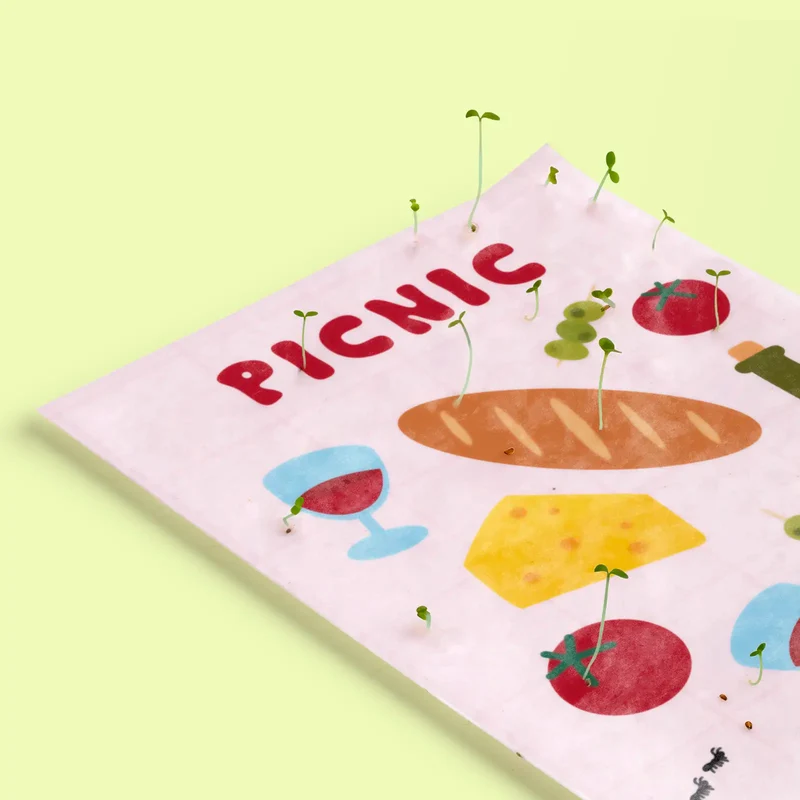 Postal Plantable Picnic Semillas de Flores | Papel de Algodón Reciclado | Regalo Original - Resetea
