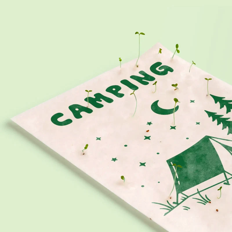 Postal Plantable Camping Semillas de Manzanilla | Papel de Algodón Reciclado | Regalo Original - Resetea