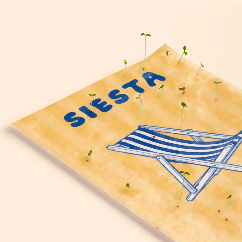 Postal Plantable Siesta Semillas de Tomate | Papel de Algodón Reciclado | Regalo Original - Resetea