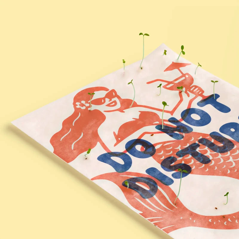 Postal Plantable Do Not Disturb Semillas de Manzanilla | Papel de Algodón Reciclado | Regalo Original - Resetea