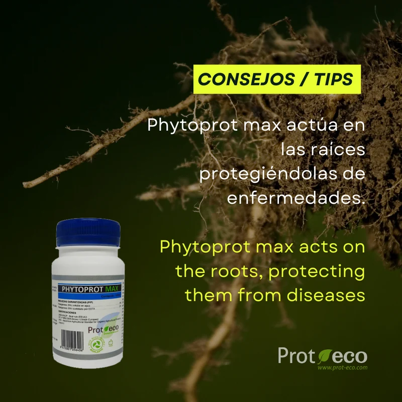 Enraizante ecológico para plantas Phytoprot Max Prot-eco 100 ml + pipeta dosificadora 5 ml gratis