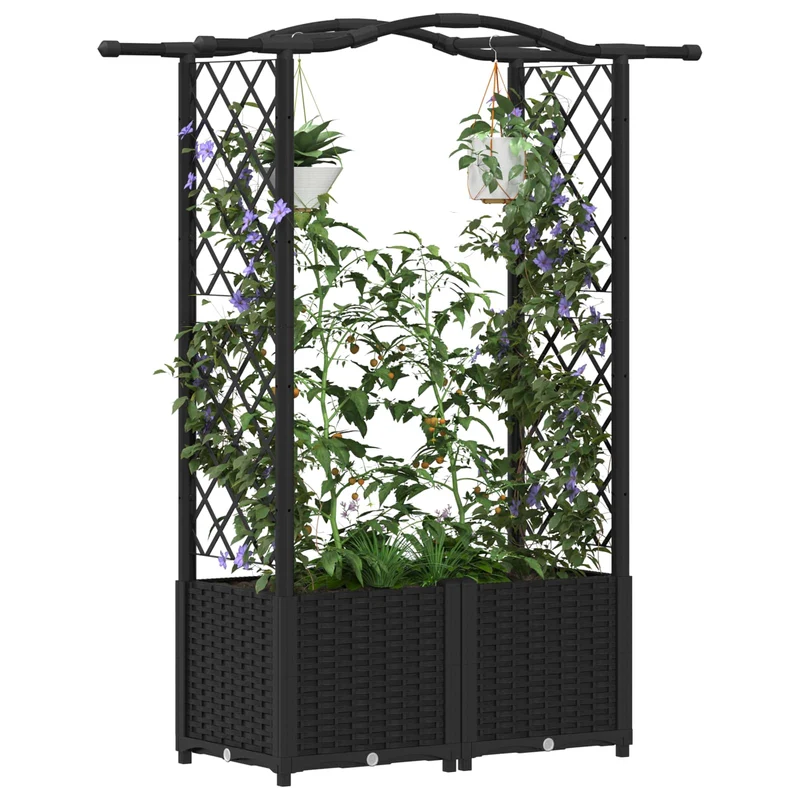Cama Elevada Con Trellis Y Techo Negro 125 X 40 X 138 Cm Pp