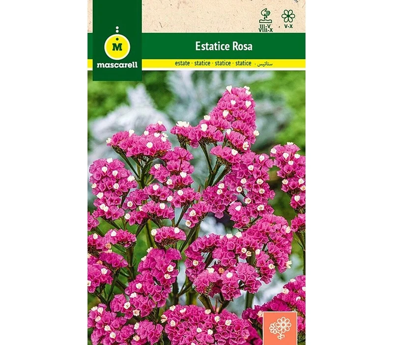 Semillas Estatice Sinuata Rosa