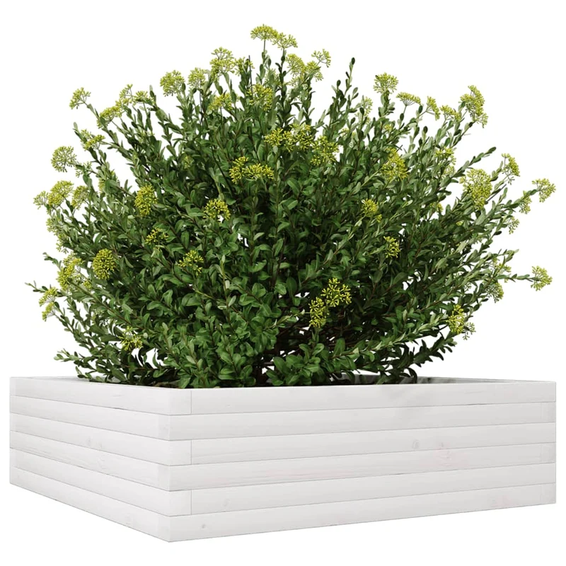 Jardinera De Madera Maciza De Pino Blanca 80x80x23 Cm