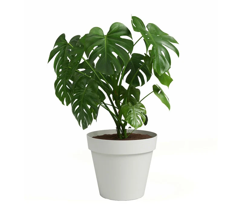 Artevasi Macetero De Plástico Capri Blanco 30cm