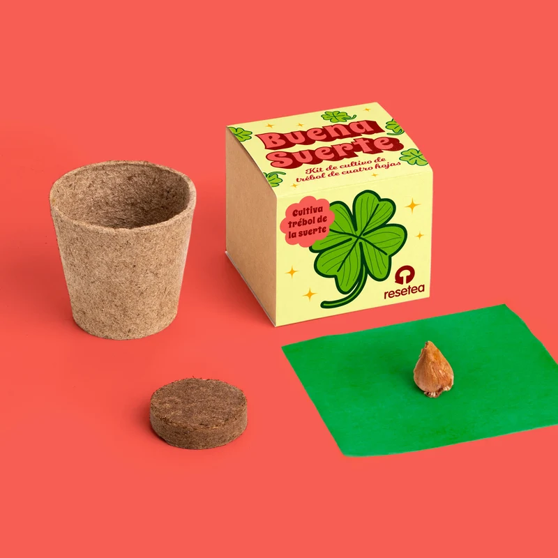 Buena Suerte – Kit Cultivo Trébol de 4 Hojas (Oxalis Deppei), Amuleto Natural - Resetea