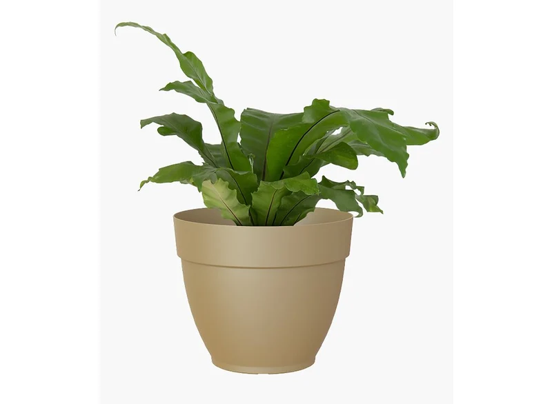 Artevasi Macetero Verde Plástico Campana Capri 25cm