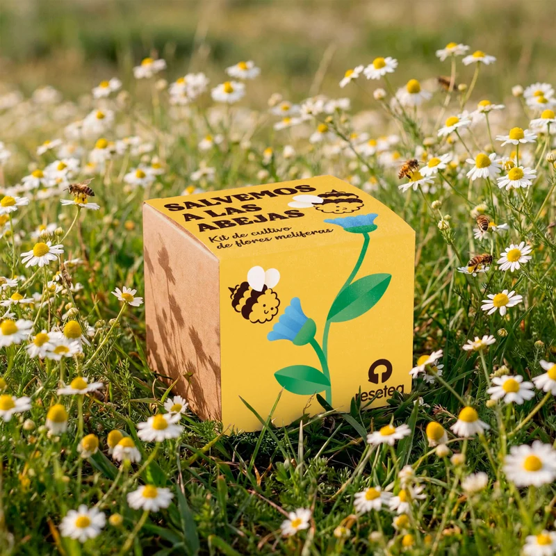 Salvemos a las Abejas – Kit Flores Melíferas con Bomba de Semillas, Regalo Educativo - Resetea