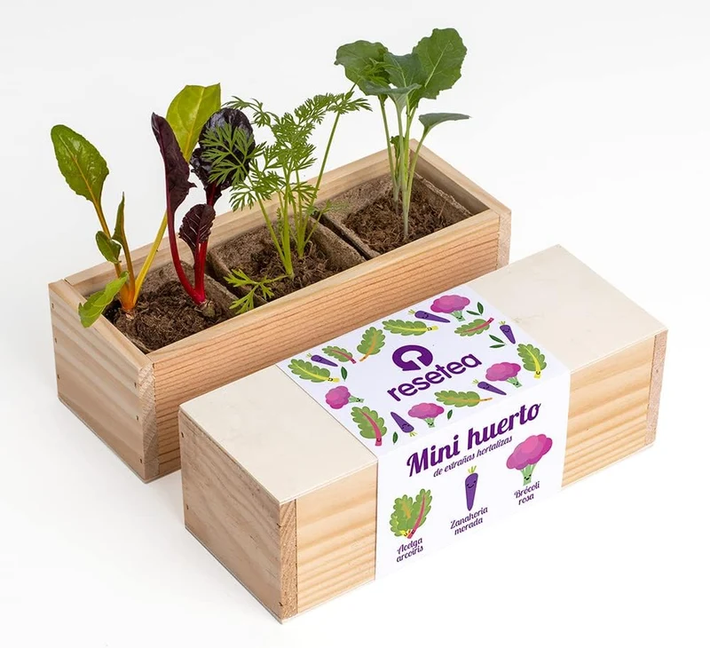Mini Huerto Hortalizas Extrañas Acelga Arcoíris, Zanahoria Morada y Brócoli Rosa - Resetea