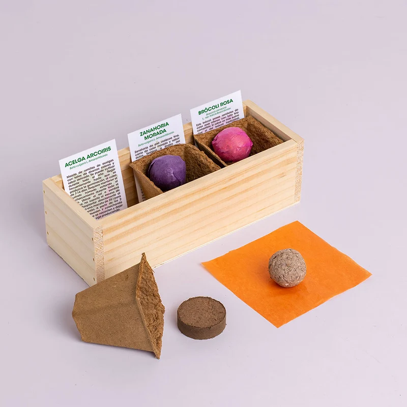 Mini Huerto Hortalizas Extrañas Acelga Arcoíris, Zanahoria Morada y Brócoli Rosa - Resetea