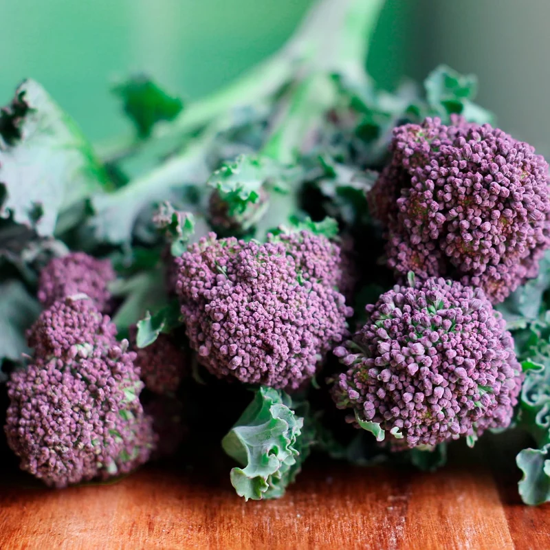 Mini Huerto Hortalizas Extrañas Acelga Arcoíris, Zanahoria Morada y Brócoli Rosa - Resetea