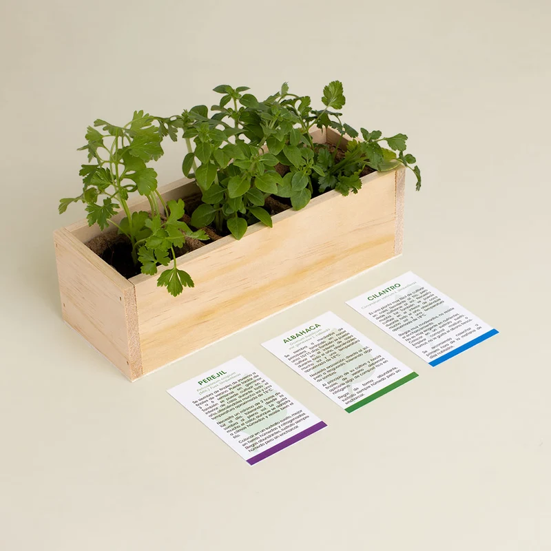 Kit Autocultivo Gourmet Perejil, Albahaca y Cilantro | Hierbas Frescas para Cocina - Resetea
