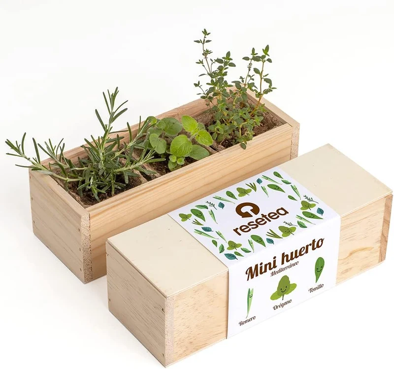Mini Huerto Mediterráneo Romero, Orégano y Tomillo | Huerto Urbano en Casa - Resetea