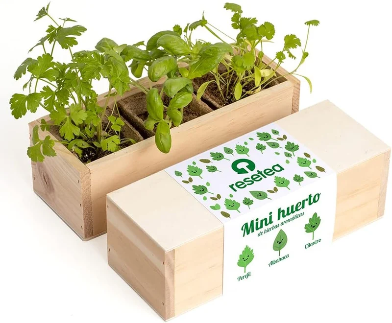 Mini Huerto Hierbas Aromáticas Perejil, Albahaca y Cilantro | Kit Fácil - Resetea