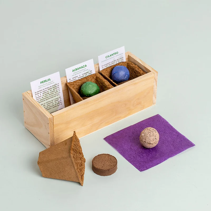 Mini Huerto Hierbas Aromáticas Perejil, Albahaca y Cilantro | Kit Fácil - Resetea