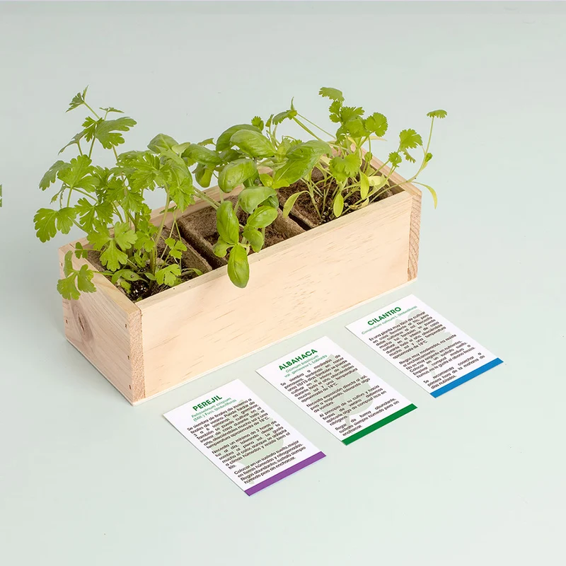 Mini Huerto Hierbas Aromáticas Perejil, Albahaca y Cilantro | Kit Fácil - Resetea