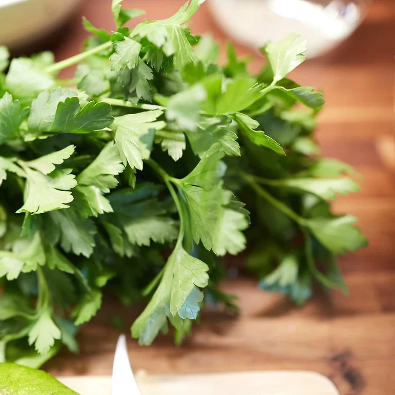Mini Huerto Hierbas Aromáticas Perejil, Albahaca y Cilantro | Kit Fácil - Resetea