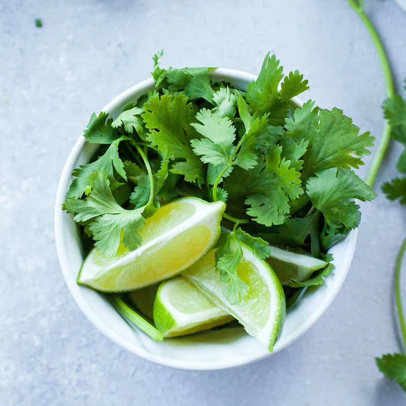 Mini Huerto Hierbas Aromáticas Perejil, Albahaca y Cilantro | Kit Fácil - Resetea