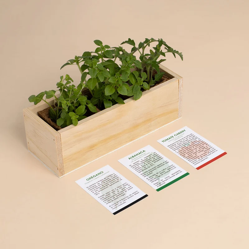 Kit Autocultivo Pizza Orégano, Albahaca y Tomate Cherry | Regalo Original de Cocina - Resetea