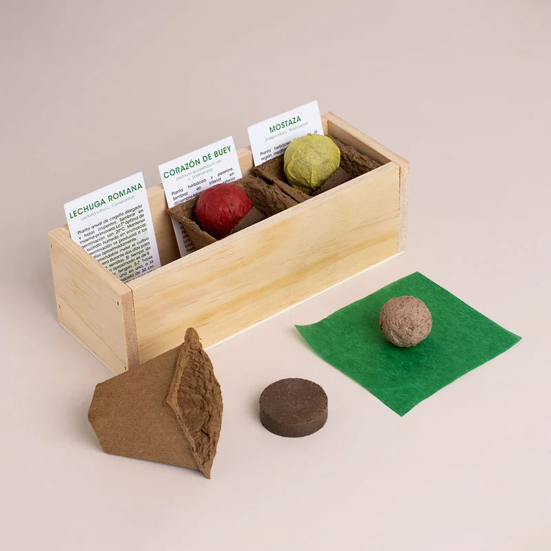 Kit Autocultivo Hamburguesa | Cultiva Lechuga, Tomate Corazón De Buey Y Mostaza En Casa | Regalo Gourmet