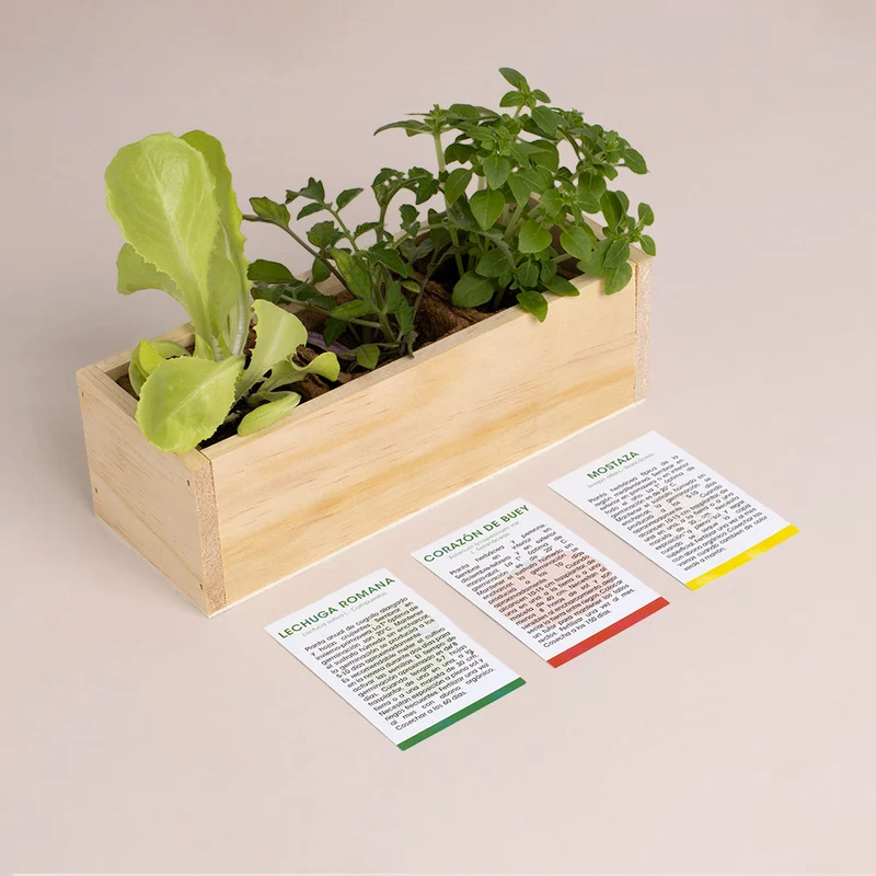 Kit Autocultivo Hamburguesa | Cultiva Lechuga, Tomate Corazón De Buey Y Mostaza En Casa | Regalo Gourmet