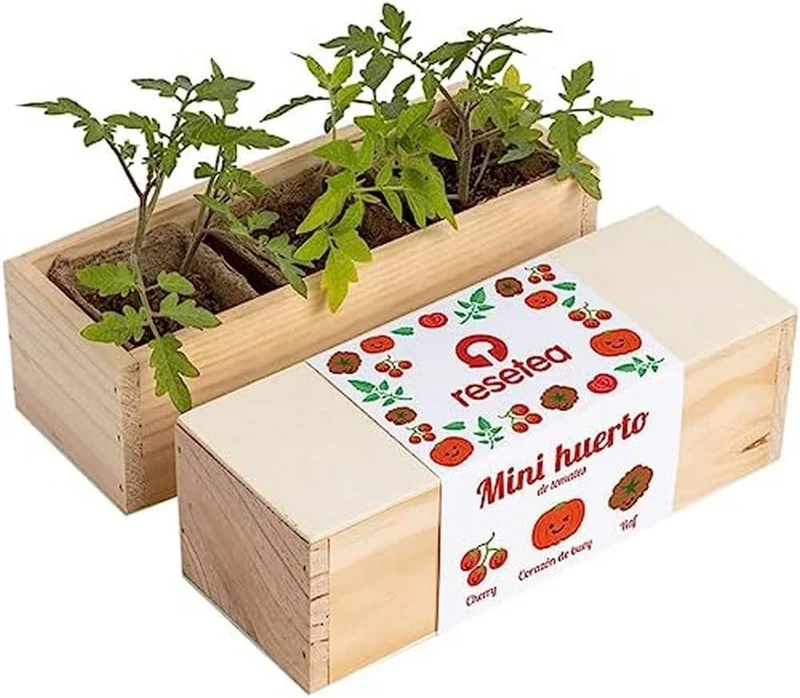 Mini Huerto de Tomates Cherry, Corazón de Buey y RAF | Huerto Urbano Fácil - Resetea
