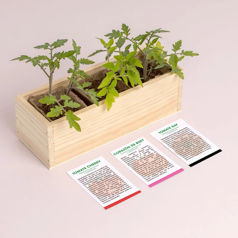Mini Huerto de Tomates Cherry, Corazón de Buey y RAF | Huerto Urbano Fácil - Resetea