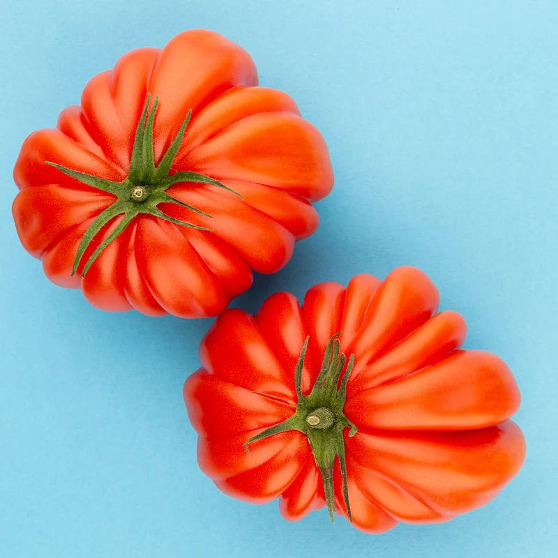Mini Huerto de Tomates Cherry, Corazón de Buey y RAF | Huerto Urbano Fácil - Resetea