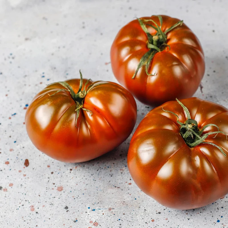 Mini Huerto de Tomates Cherry, Corazón de Buey y RAF | Huerto Urbano Fácil - Resetea