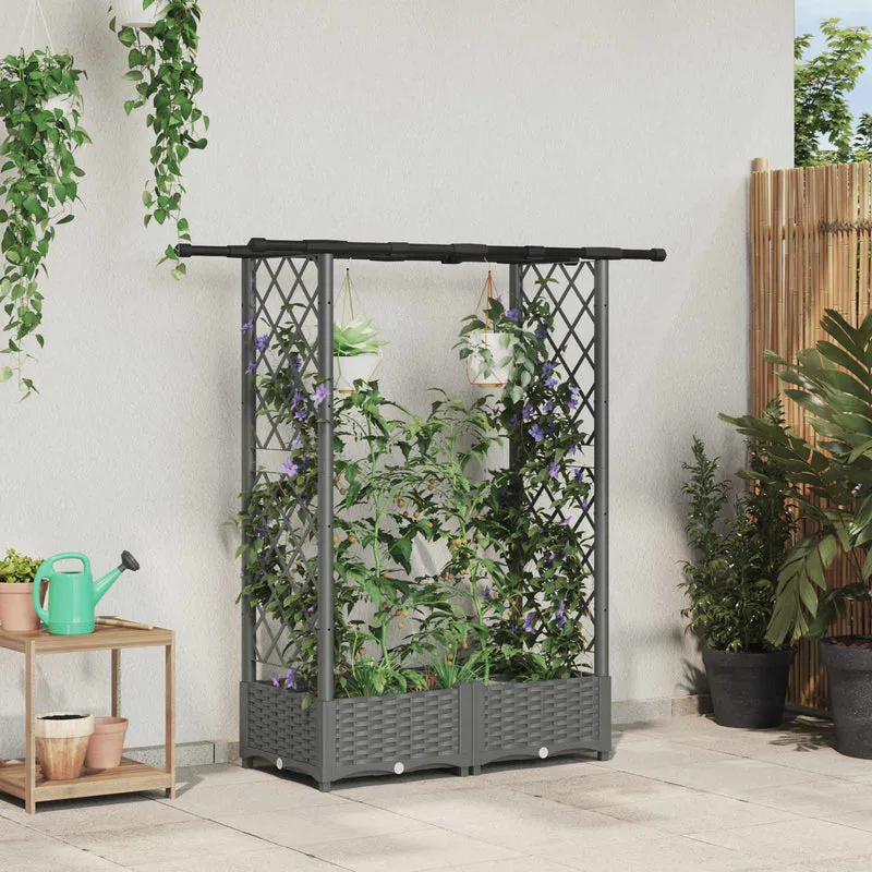 Cama Elevada Con Trellis Y Techo Gris Claro 122,5 X 40 X 121 Cm