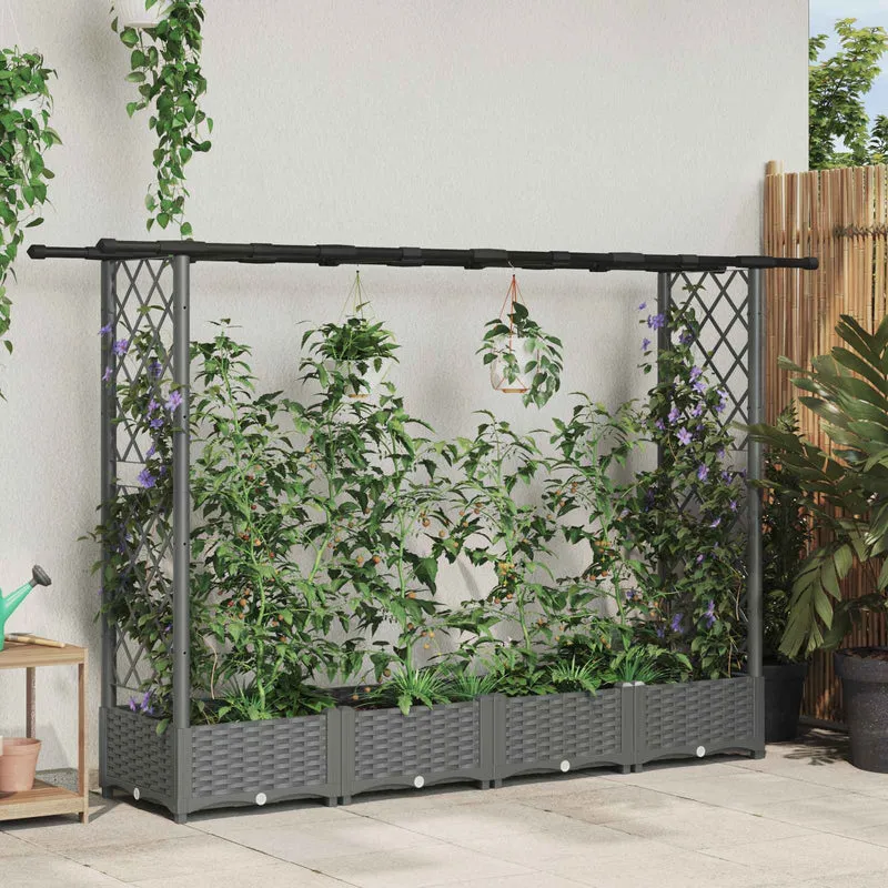 Cama Elevada Con Trellis Y Techo Gris Claro 203 X 40 X 121 Cm
