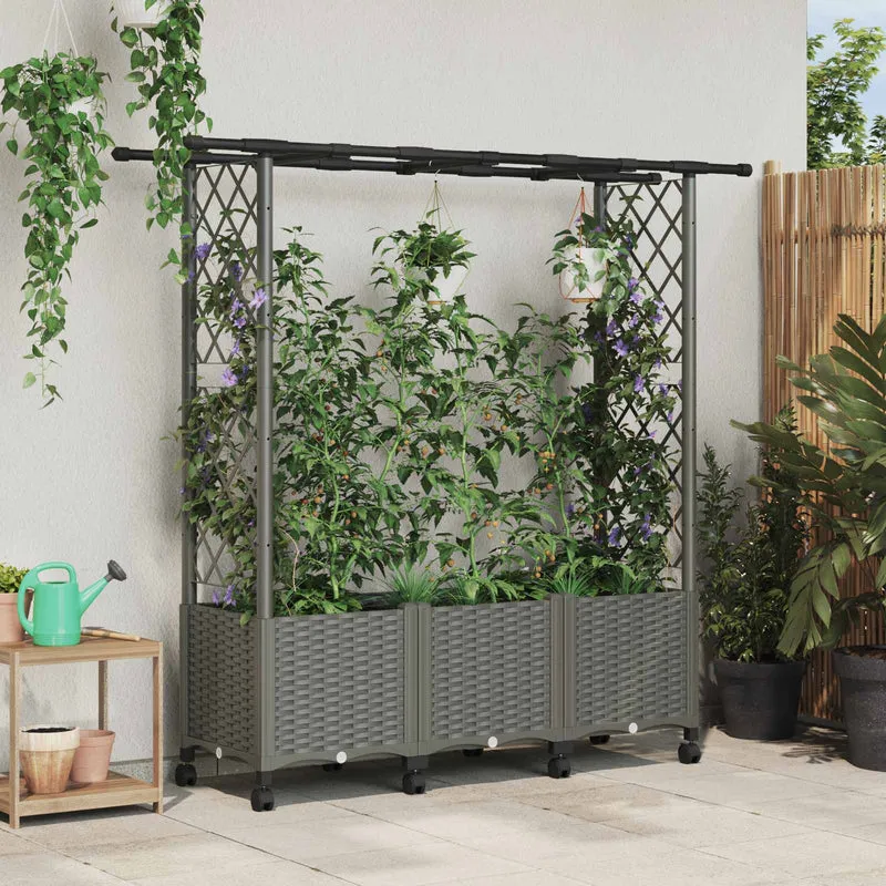 Cama Elevada Con Trellis Y Techo Gris Claro 162,5 X 40 X 142 Cm