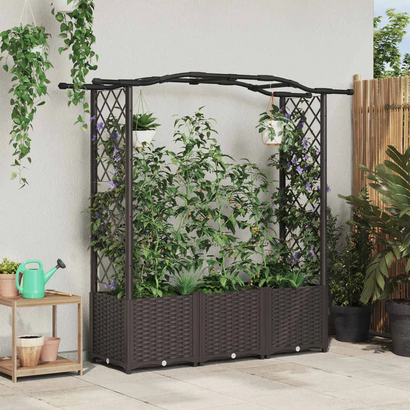 Cama Elevada Con Trellis Y Techo Marrón 164 X 40 X 138 Cm Pp