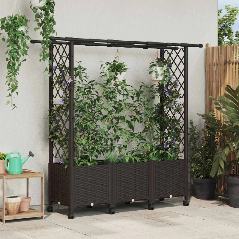 Cama Elevada Con Trellis Y Techo Marrón 162,5 X 40 X 142 Cm Pp
