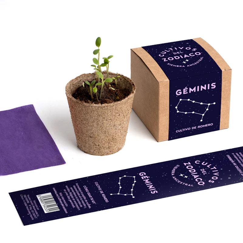 Cultivos del Zodiaco – Géminis, Kit de Cultivo con Semillas de Romero - Resetea