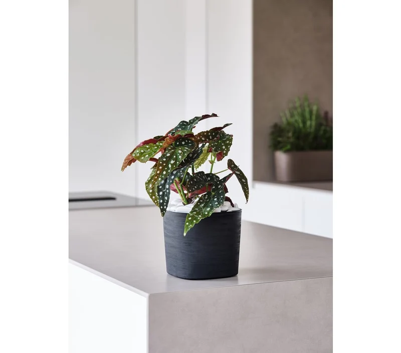 Teraplast Macetero De Plástico Reciclado Cuadrado Capri Negro 19cm