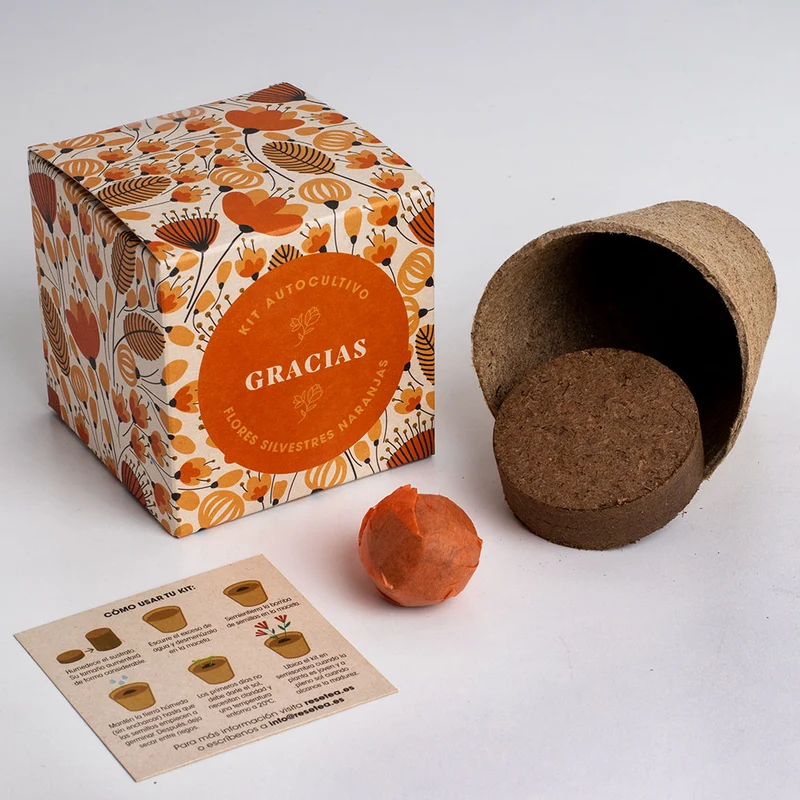 Díselo con Flores "Gracias" Kit Autocultivo Flores Silvestres Naranjas | Regalo Original - Resetea