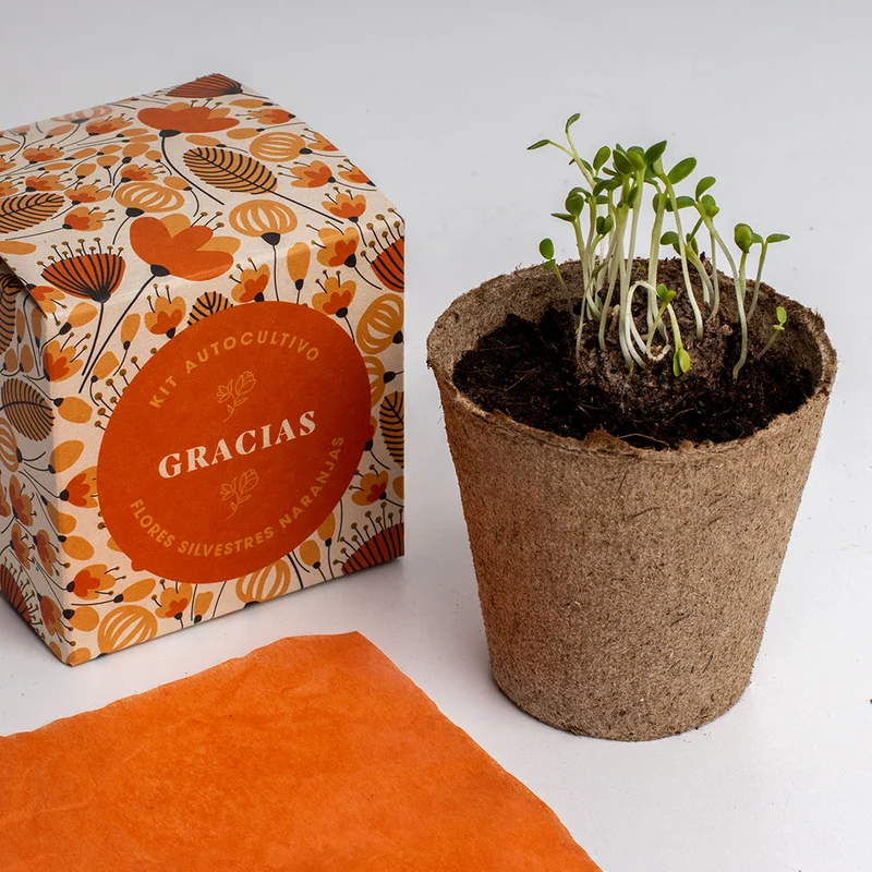 Díselo con Flores "Gracias" Kit Autocultivo Flores Silvestres Naranjas | Regalo Original - Resetea