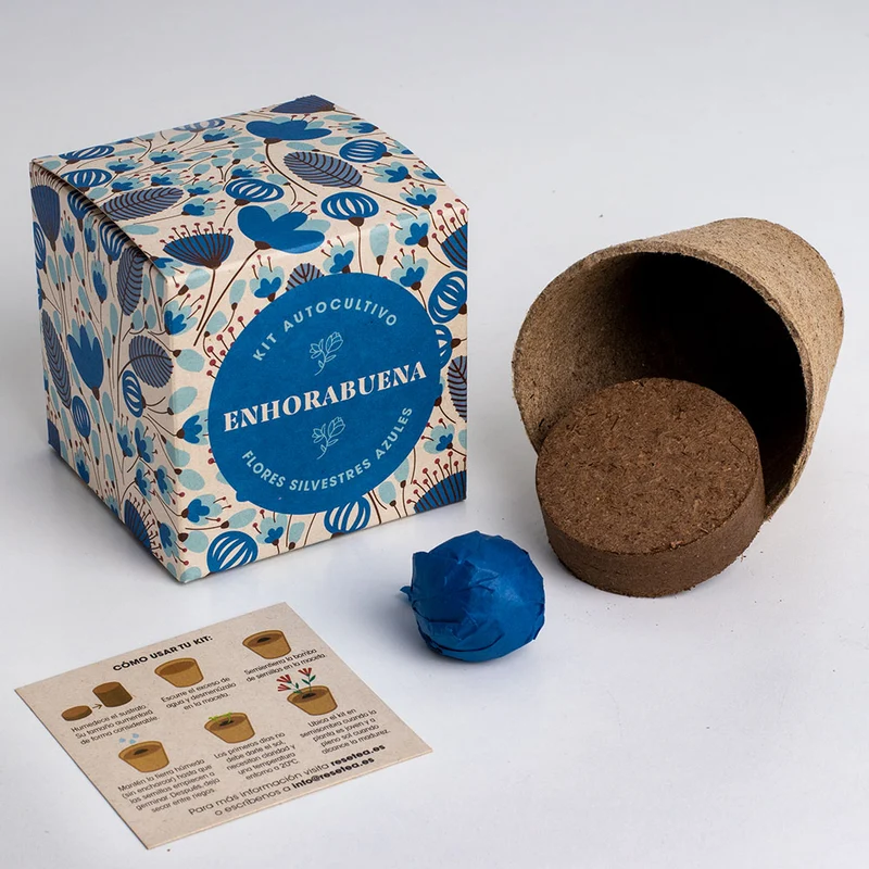 Díselo con Flores "Enhorabuena" Kit Cultivo Flores Silvestres Azules | Regalo Original - Resetea
