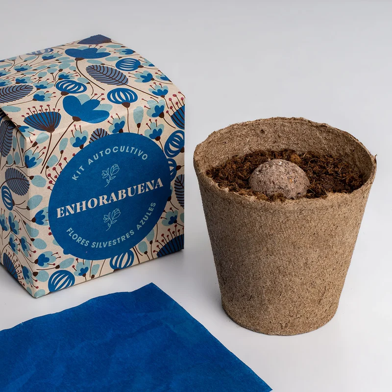 Díselo con Flores "Enhorabuena" Kit Cultivo Flores Silvestres Azules | Regalo Original - Resetea