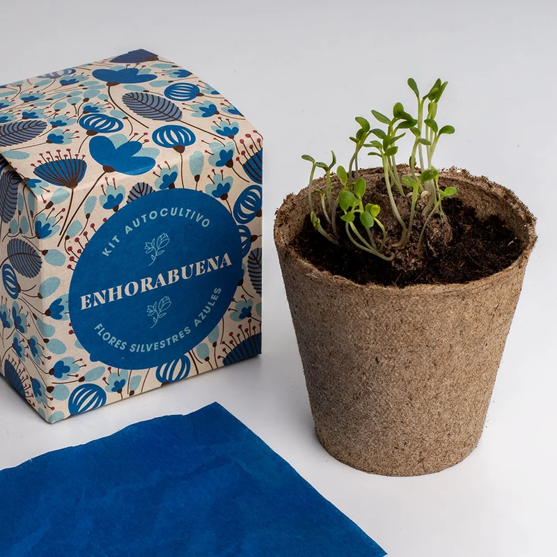 Díselo con Flores "Enhorabuena" Kit Cultivo Flores Silvestres Azules | Regalo Original - Resetea