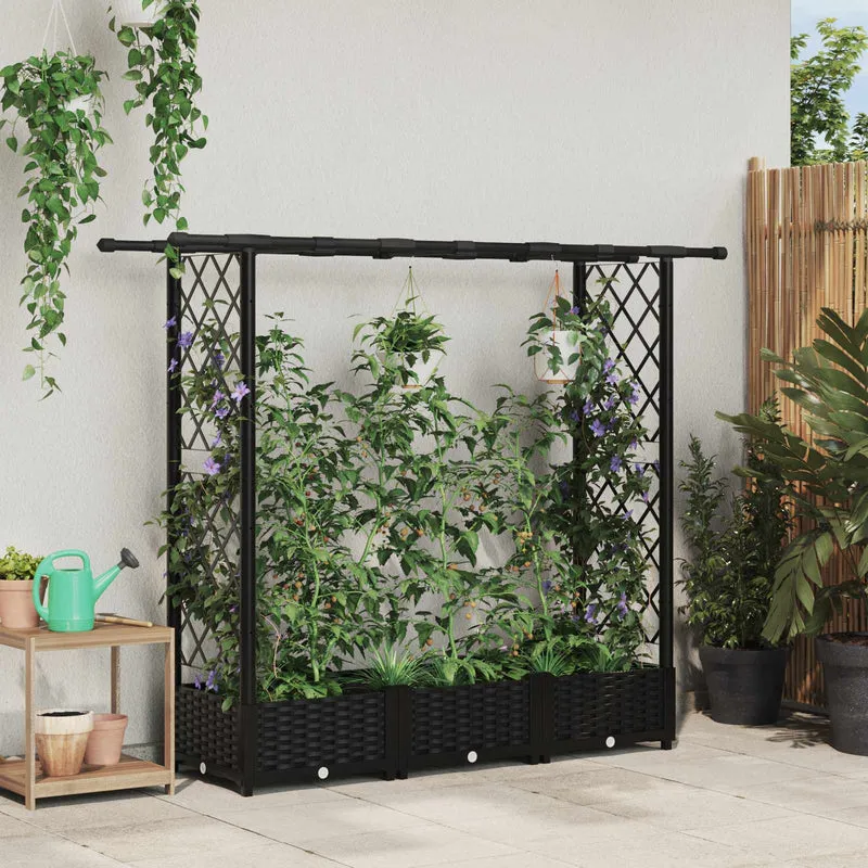 Cama Elevada Con Trellis Y Techo Negro 164 X 40 X 121 Cm Pp