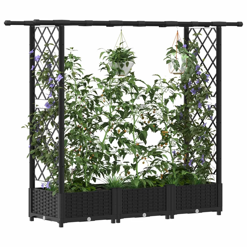 Cama Elevada Con Trellis Y Techo Negro 164 X 40 X 121 Cm Pp