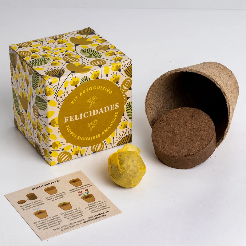 Díselo con Flores "Felicidades" Kit Autocultivo Flores Silvestres Amarillas - Resetea