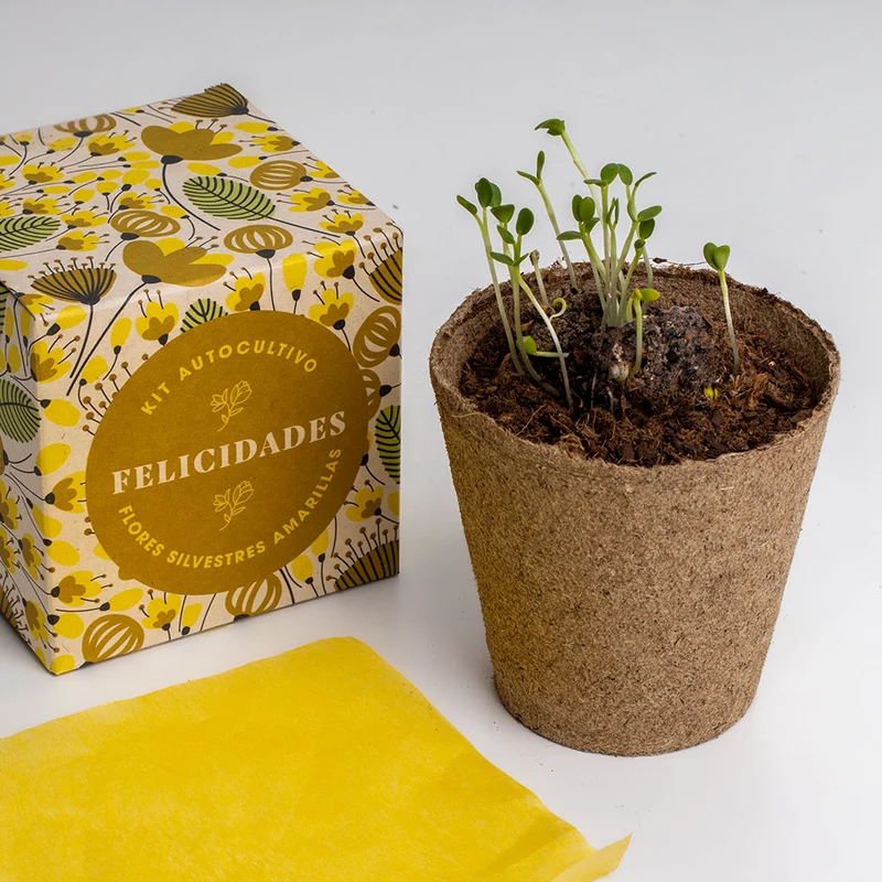 Díselo con Flores "Felicidades" Kit Autocultivo Flores Silvestres Amarillas - Resetea