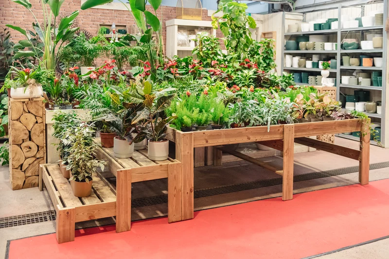 Expositor Escalera De Madera Podium Hortalia